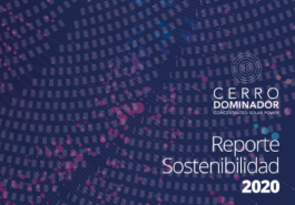 Reporte de Sostenibilidad Edición 2020